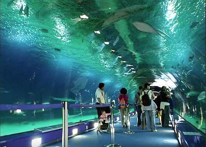 Apartamento Porto 3 Bedroom